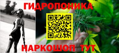 прущие грибы Изобильный