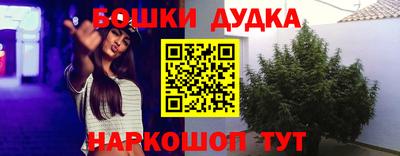 прущие грибы Изобильный